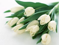 Акция к 8-му марта!